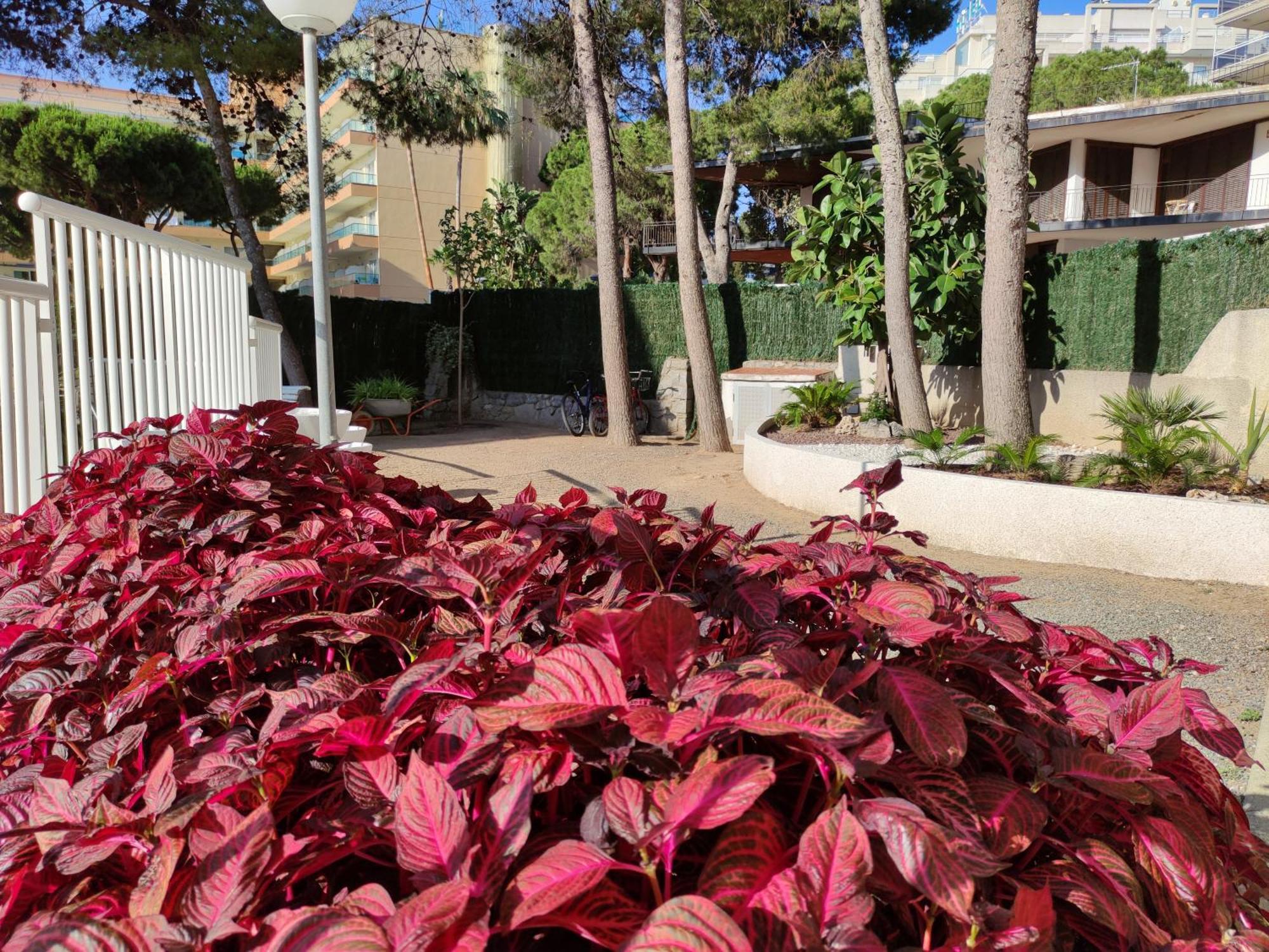 Paradis Salou, Centro Turistico, Wifi, Piscina, Vistas Al Mar Dış mekan fotoğraf